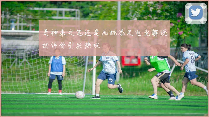 是神来之笔还是画蛇添足电竞解说的评价引发热议