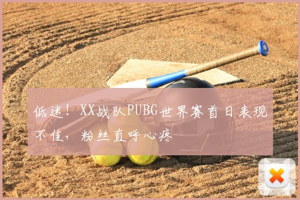 低迷!XX战队PUBG世界赛首日表现不佳,粉丝直呼心疼